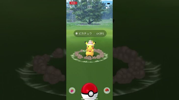 ポケモンgo 特別な帽子をかぶったピカチュウ　ゲットチャレンジ