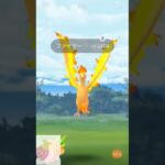 【ポケモンgo】【レイドバトル】ファイヤー