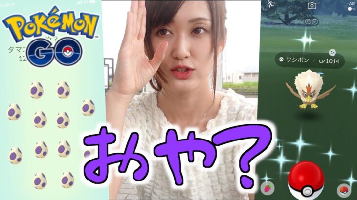 10タマ12連おや、光もうすか？【ポケモンGO】