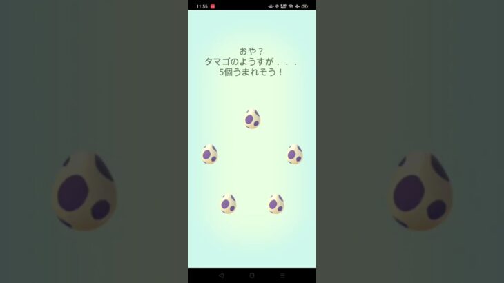 ポケモンＧＯ★10Km★タマゴ５連ガチャ【2022年8月3日】孵化分 #shorts