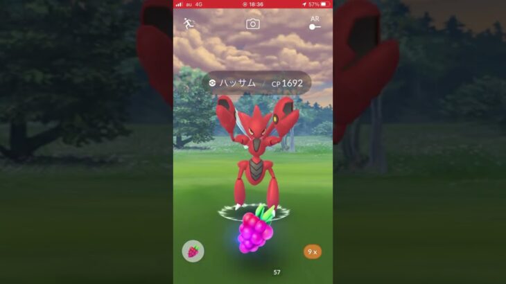 【2人討伐】メガハッサム【ポケモンGO】