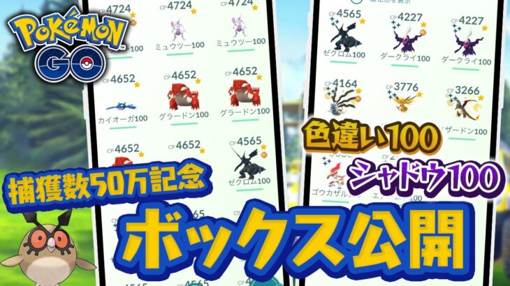 ポケモン捕獲数が50万匹超えたのでボックス紹介します！【ポケモンGO】