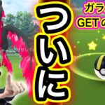 遂に念願のガラル三鳥GET！？奇跡の瞬間を捕えた！【ポケモンGO】