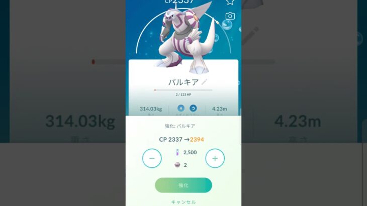 ポケモン GO パルキア 個体値100