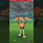 【 ポケモンGO 】おさんぽおこうパート2の結果