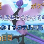 銀組　ポケモンGO  おさんぽおこうやって見た！実装8日目、ガラル三鳥に逢いたい！