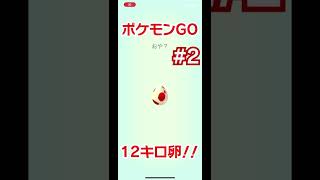 【ポケモンGO】12キロ卵 孵化 記録！！#shorts