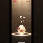 【ポケモンGO】あの色違いが爆誕？！12kmタマゴ3連🥚#ポケモンgo #shorts #色違いポケモン