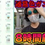 【検証】GOフェス2022フィナーレで通常色ガン無視して8時間歩いたら色違いは何匹ゲットできる？【ポケモンGO】