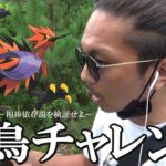 【ポケモンGO】奇跡を起こす赤き鳥！相棒ファイアローの活躍に涙が止まらない！ポケモンと意思疎通を図ることができる金沢の傾奇者スペシャル！【31回目の挑戦】