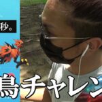 【ポケモンGO】高確率は逃さない！ラスト3秒でもドラマは起きるんだ！強風ブーストでガラル三鳥の捕獲を目指すおさんぽおこうチャンレンジスペシャル！【21回目の挑戦】