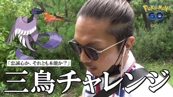 【ポケモンGO】大興奮！ガラル三鳥の捕獲を目指すおさおこチャレンジ！元祖聖地CCZで相棒ファイアローが「本能と理性」の狭間で駆け回る超絶スペクタクル！【35回目の挑戦】