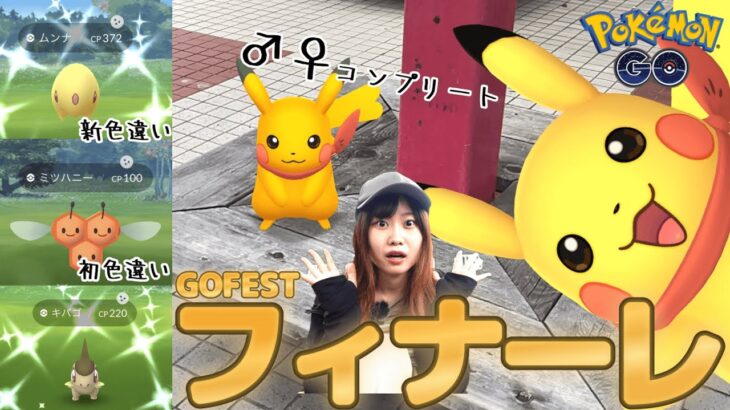 色違いフィーバータイムが‼GOFestフィナーレ:ポケモンGOin愛知県岡崎市