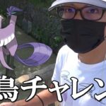 【ポケモンGO】神の力が発動！？初見リアクションを目指すガラル三鳥チャレンジ！金沢の裏路地で「おさんぽおこう」を使いながらGOフェス札幌の裏話も大公開スペシャル！【第14回】