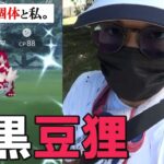 【ポケモンGO】希少が過ぎる超厳選チャンス！ガラルジグザグマのコミュニティデイ！色違いもXPもすなもGBL用個体も全部まとめてゲットだぜスペシャル！【新技「ブロッキング」】