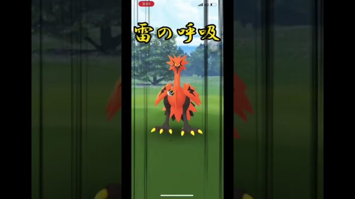 【ポケモンGO】また会ったな🦅ガラルのチキン野郎を捕獲せよ‼︎‼︎#ポケモンgo #shorts #ガラルサンダー