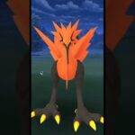 Galarian Zapdos Encounter In Pokemon Go | Galarian Birds Pokemon Go | #pokemongo #Shorts