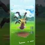 Giratina👻Always Win against Metagross💥!Mewtwo🌀Vs Togekiss🥵!Master League! Pokemon Go