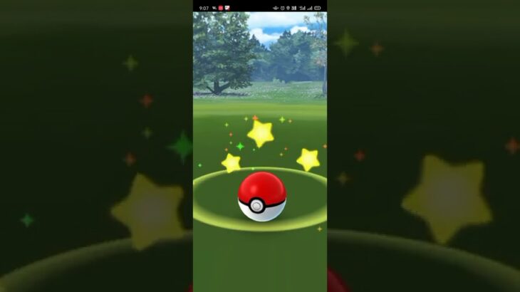Pokemon go