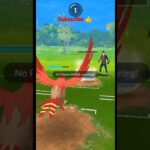 Shiny ✨ talonflame vs lucario🐺 Pokemon Go Battle League