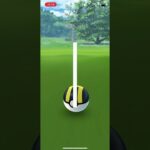 ポケモンgo 色違いガラルジグザグマ　ゲットチャレンジ　コミュニティデイ