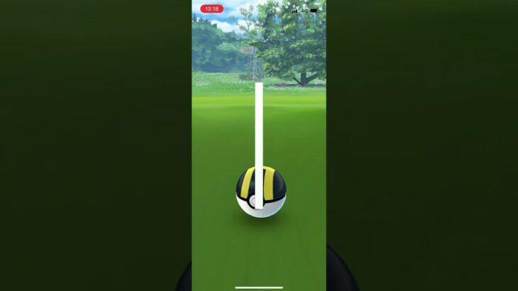 ポケモンgo 色違いガラルジグザグマ　ゲットチャレンジ　コミュニティデイ