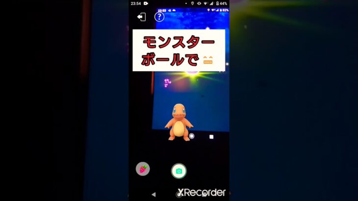 wcs色違い出現⑦～familyへ～【ポケモンGO】#pokémon #shinee #shorts