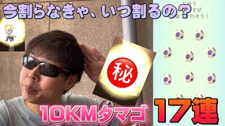 10KMタマゴ17連であの神個体を引き当てたい！イベントのない日はやっぱり10KMタマゴ【ポケモンGO】