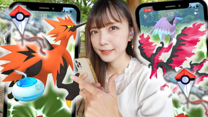 ガラル３鳥が欲しい！天候ブーストの中5日連続でやった結果！【ポケモンGO】