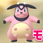 【生配信】技範囲優秀ミルタンク！ #943【ポケモンGO】