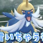 【生配信】ふぶき型のダイケンキで相手の意表をつく！ #965【ポケモンGO】