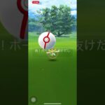 ポケモンGO❗️カミツルギのゲッチャレ😆サークルちっちゃ〜⁉️⁉️⁉️