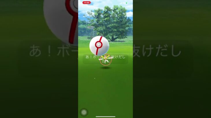 ポケモンGO❗️カミツルギのゲッチャレ😆サークルちっちゃ〜⁉️⁉️⁉️