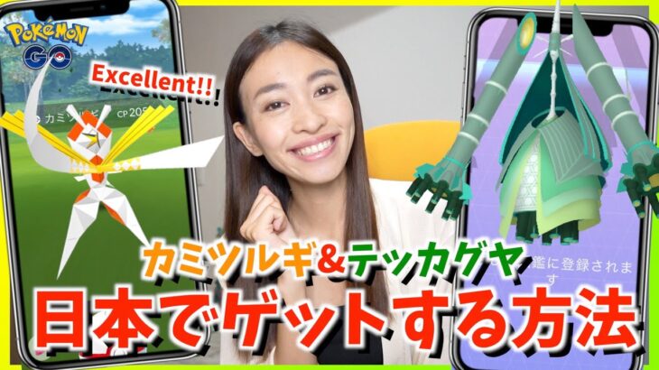 日本でテッカグヤ&カミツルギを両方ゲットする方法とは！？ファミリーマートのパートナーリサーチを申込みながらチャレンジしてみた！【ポケモンGO】