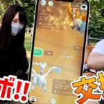 コラボ‼りんちゃんとキラ交換をしたら結果がヤバイ事に！？【ポケモンGO】