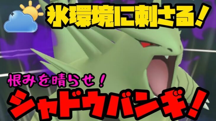 【ポケモンGO】氷環境ならやれるやろ！？恨みをはらせ、シャドウバンギラス！