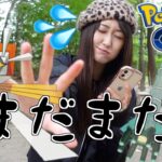 まだまだカミツルギやるし、なんかテッカグヤが…!!【ポケモンGO】