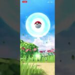 ポケモンGO シェイミゲット 個体値ガチャ #shorts