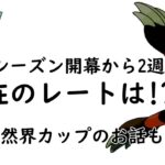 【ポケモンGO】「採用率トップ10使用禁止」で2週間やってみた現在のレートは…？　自然界カップの注目ポケモンも紹介【GBL】