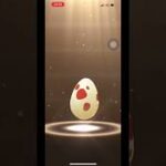 【ポケモンGO】満月の12kmタマゴ3連ガチャ🥚ピッピイベ楽しみ☝️☝️#ポケモンgo #shorts #月灯りふんわり落ちてくる夜