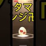 【ポケモンGO】リベンジ卍12kmタマゴ3連🥚#ポケモンgo #shorts #すきっ