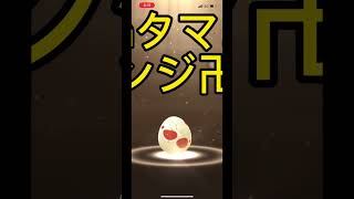 【ポケモンGO】リベンジ卍12kmタマゴ3連🥚#ポケモンgo #shorts #すきっ