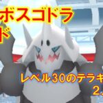 【ポケモンGO】メガボスゴドラレイド　レベル30のテラキオンで２人討伐