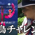 【ポケモンGO】大チャンス到来！帰ってきたガラルファイヤーvs金沢の傾奇者！元祖聖地でおさおこチャレンジしたら「野生がエグいこと」になっていたスペシャル！【40回目の挑戦】