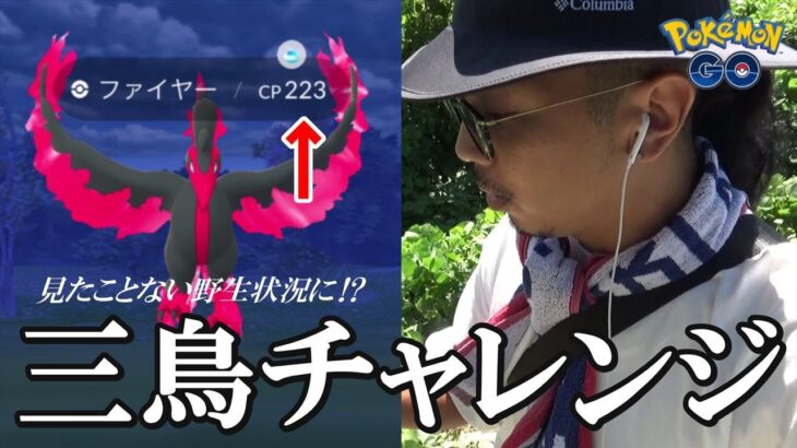 【ポケモンGO】大チャンス到来！帰ってきたガラルファイヤーvs金沢の傾奇者！元祖聖地でおさおこチャレンジしたら「野生がエグいこと」になっていたスペシャル！【40回目の挑戦】