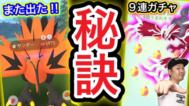 【注意】ガラル三鳥出現率UPの秘訣！？絶対やるべき今週のポイント【ポケモンGO】