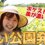 【ポケスト多】【巣が濃い】いい公園発見しました！が、猛暑でやられました…in静岡県:ポケモンＧＯ