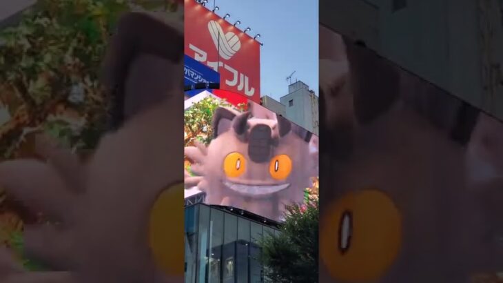 #shorts 【激レア❗】3DポケモンGO  POKÉMON GO