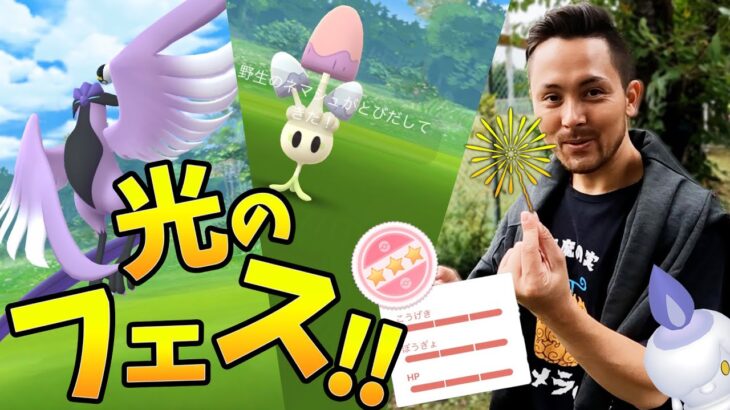 ネマシュとガラル三鳥と○○の100％が爆誕する！？10㎞歩いたポケ活の結果がえぐい！！【ポケモンGO】