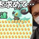 神引き発動!?!?色違いオンバット狙い70連たまご割った結果…!!!!【ポケモンGO】